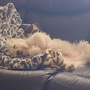 Meet your Posher, Ricky